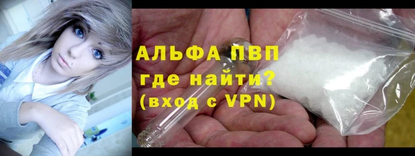 мяу мяу мука Инсар