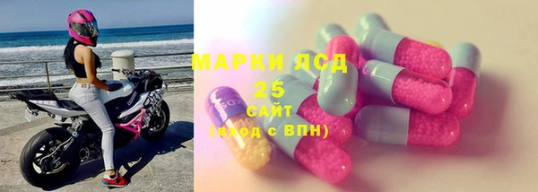 мяу мяу мука Инсар