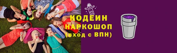 шишки Нязепетровск