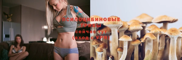 мяу мяу мука Инсар