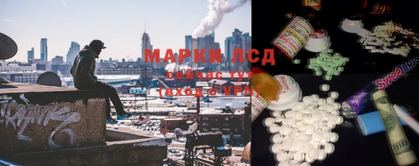 мяу мяу мука Инсар