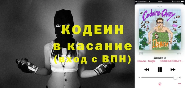 мяу мяу мука Инсар